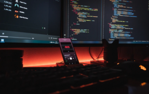 developer