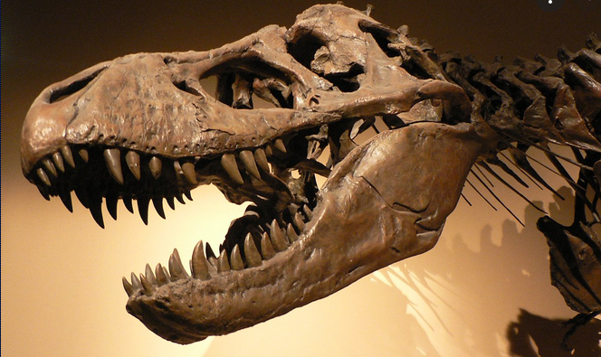 dinosaur 