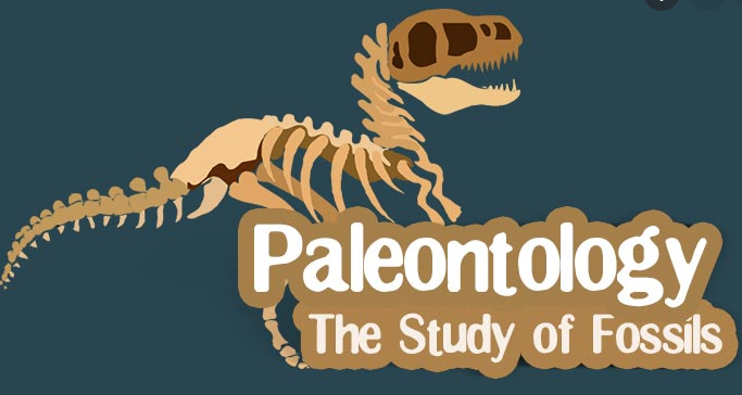 study of fossils